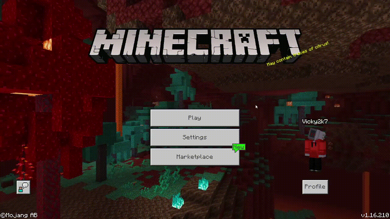 Beeldende instructie verbinden Bedrock